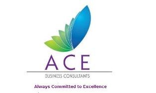 Ace Business Consultants